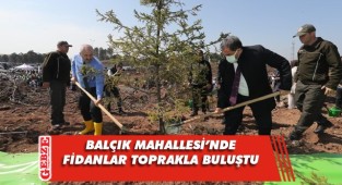 Gebze’de fidanlar toprakla buluştu