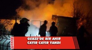 Gebze'de korkutan yangın