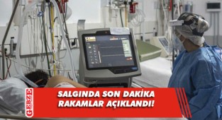 Güncel veriler açıklandı! Günlük vaka sayısı arttı