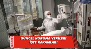 Günlük vaka sayısı arttı