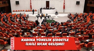 'Kadına şiddet raporu' kabul edildi