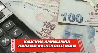Kalkınma ajanslarına 374 milyon lira transfer ödeneği