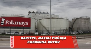 Kartepe’de her yer maya kokuyor
