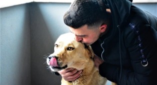 Ömer Ayhan, yaralı köpeği sevgiyle iyileştirdi