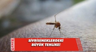Sivrisineklerden bulaşan virüs yayılıyor: Uyarı verildi