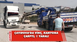 Vincin çarptığı kamyon sürücüsü yaralandı