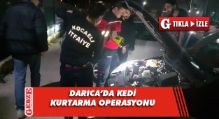 Araçta sıkışan kedi için seferber oldular
