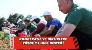 Büyükşehir'den çiftçilere bir destek daha