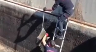 Çamura saplanan leyleği itfaiye kurtardı