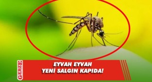 Dünya Sağlık Örgütü’nden ürküten sözler