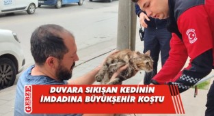 Duvara sıkışan kediyi itfaiye kurtardı
