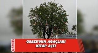 Fuarın yanındaki ağaçlar kitap açtı