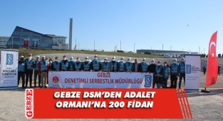Gebze DSM, 200 fidanı toprakla buluşturdu