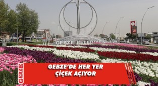 Gebze rengarenk çiçeklerle donatılıyor