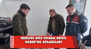 Keklik avcılarına ceza yağdı