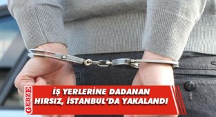 Kocaeli'nde çaldı, İstanbul'da yakalandı