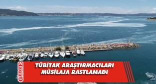Marmara Denizi'nde müsilaja rastlanmadı