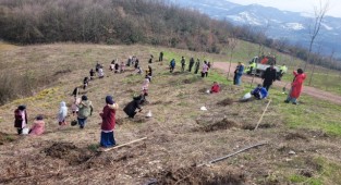 Minik eller kardeşliğe fidan dikti
