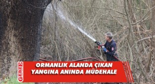 Ormanlık alanda çıkan yangın korku yarattı