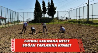 Saha tamamlanamayınca, soğan tarlası oldu