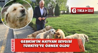 Şila'nın o videosu Türkiye'de viral oldu