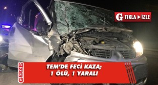 TEM’de kaza; 1 ölü 1 yaralı