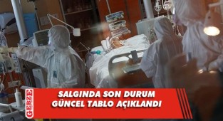 Vaka ve vefat sayısında düşüş