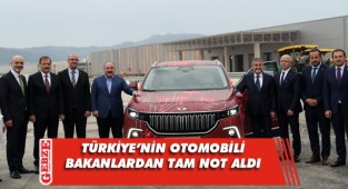 Varank ve Nebati, Togg'un direksiyonunda