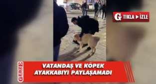 Vatandaşla, köpek arasında tebessüm ettiren kovalamaca