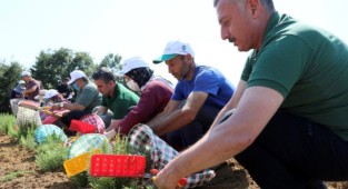Yüzde 75 hibe desteğinde başvurular için son günler