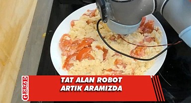 Bu da oldu! Tat alan robot üretildi