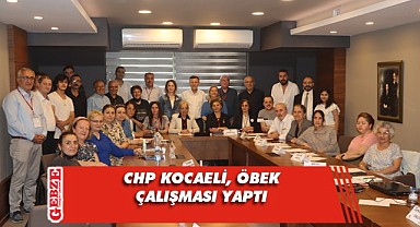 CHP Kocaeli'nden sokak öbeklenme çalışması