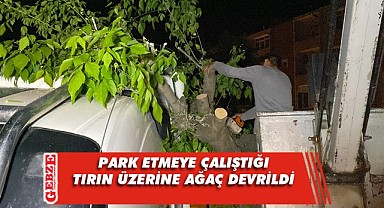 Darıca'da ilginç kaza! Ağaç devrildi