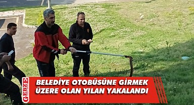 Darıca'daki otobüste yılan paniği