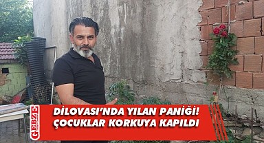 Dilovası’nda bir bahçeye 2 metrelik yılan girdi!
