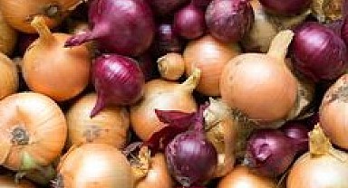 İşte kuru soğanın 7 farklı şifası