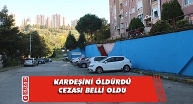 Kardeşini öldüren sanık 24 yıl cezaya çarptırıldı