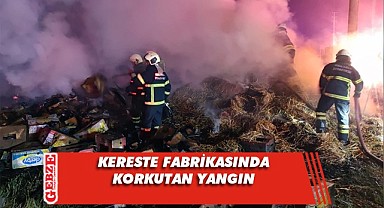 Kereste fabirkasında yangın paniği!