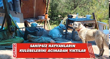 Köpeklerin yuvaları, hayvanseverlerin ümitleri yıkıldı
