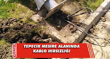 Mesire alanındaki kabloları çaldılar
