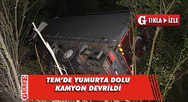 Sürücü hafif yaralandı, yumurtalar zarar gördü
