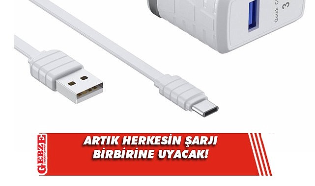Tek tip şarj aletine yeşil ışık yandı!