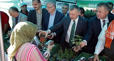 Vatandaşa 82 bin fide dağıtıldı