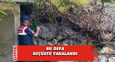 Çevreye hayvan gübresi döken firmaya suçüstü
