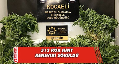 Dağlık alanda Hint keneviri ele geçirildi!