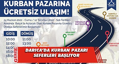 Darıca Belediyesi kurban pazarına götürüyor