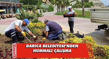 Darıca’da bitkilendirme çalışmaları yoğunluk kazandı