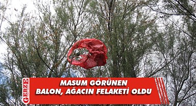 Dilek balonu ağacı küle çevirdi