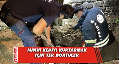 Yavru kedi uzun uğraşlar sonucu kurtarıldı