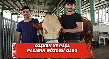 Hayvan pazarının gözdeleri 1 tonu geçiyor